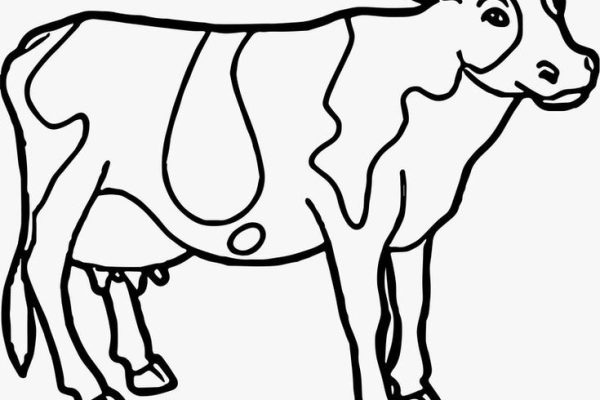 Cow coloring pages