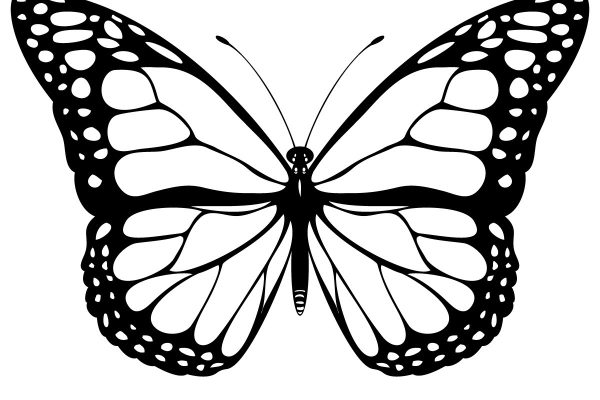 Butterfly coloring page