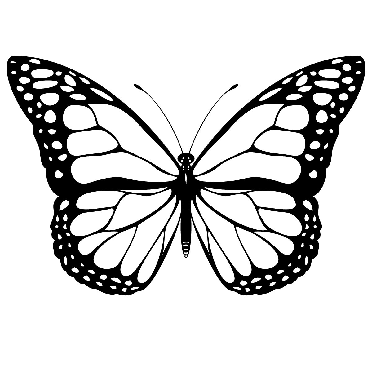 Butterfly coloring page