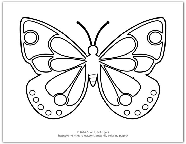 Butterflies coloring pages