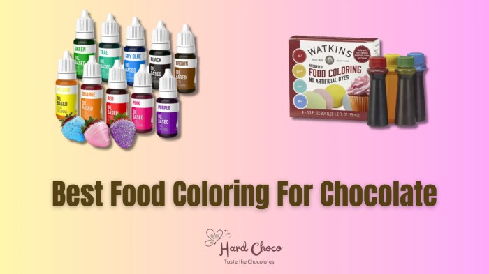 Can you paint chocolate with food coloring