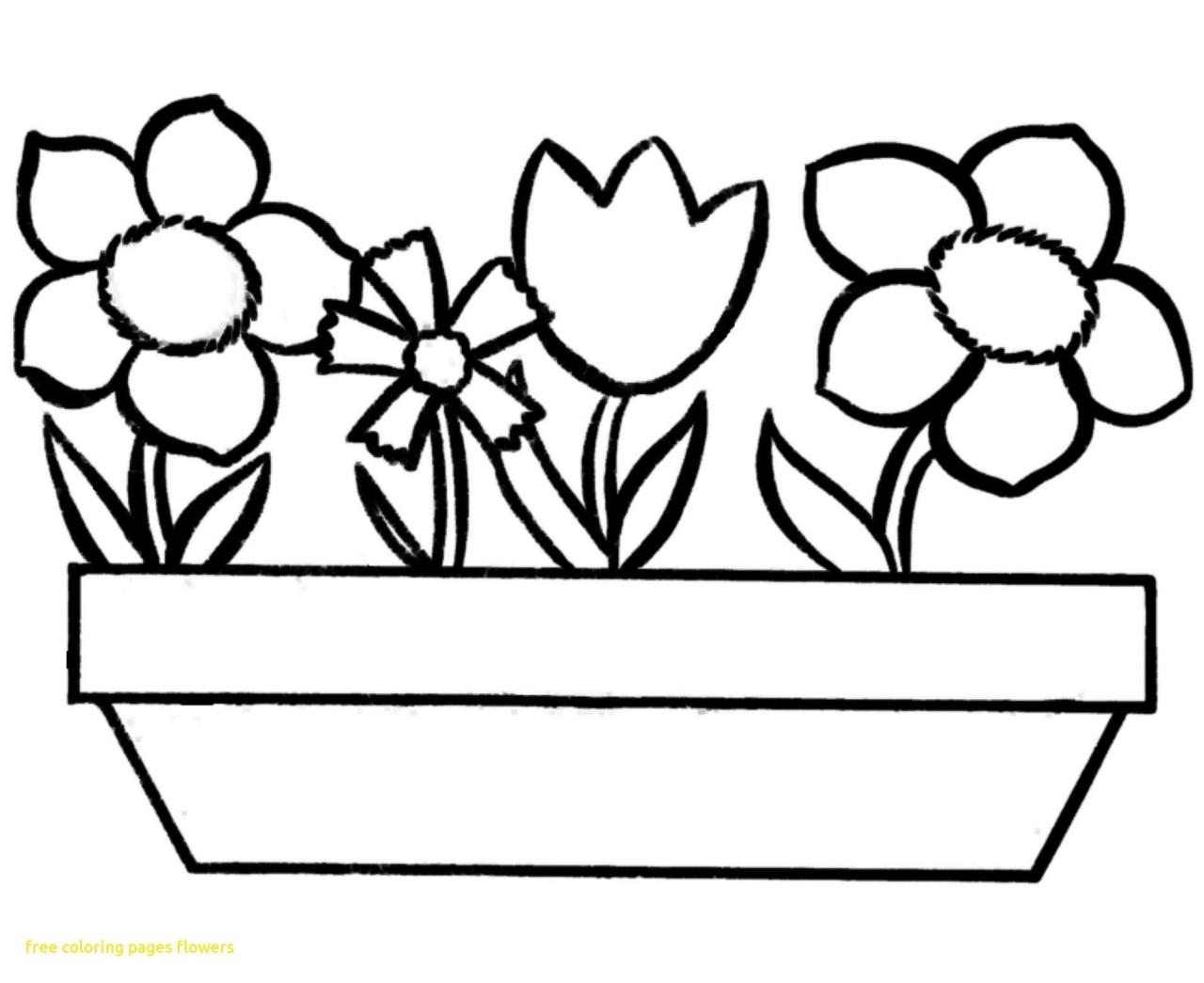 Basic coloring pages