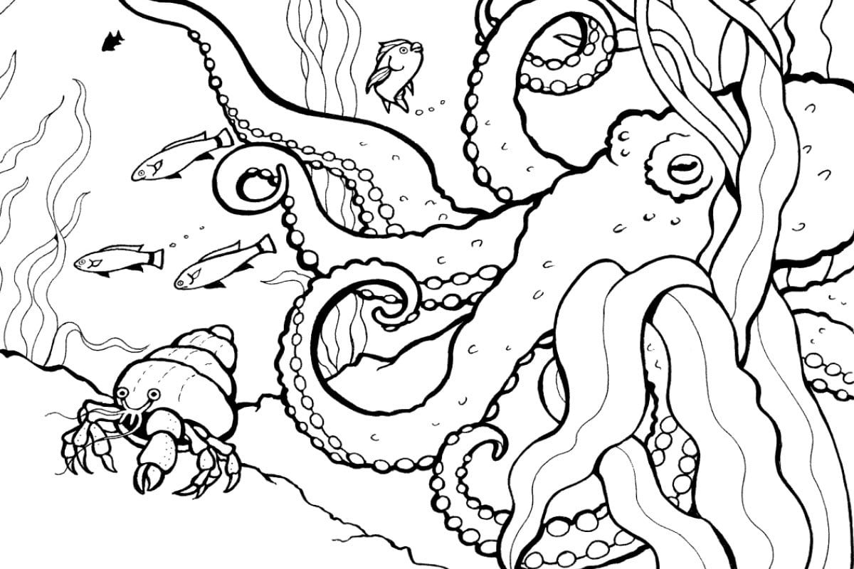 Ocean coloring pages