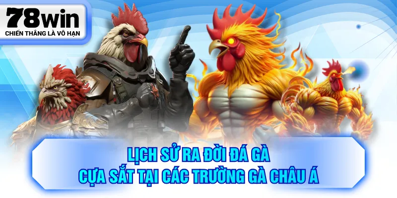 Lịch sử ra đời đá gà cựa sắt tại các trường gà châu Á